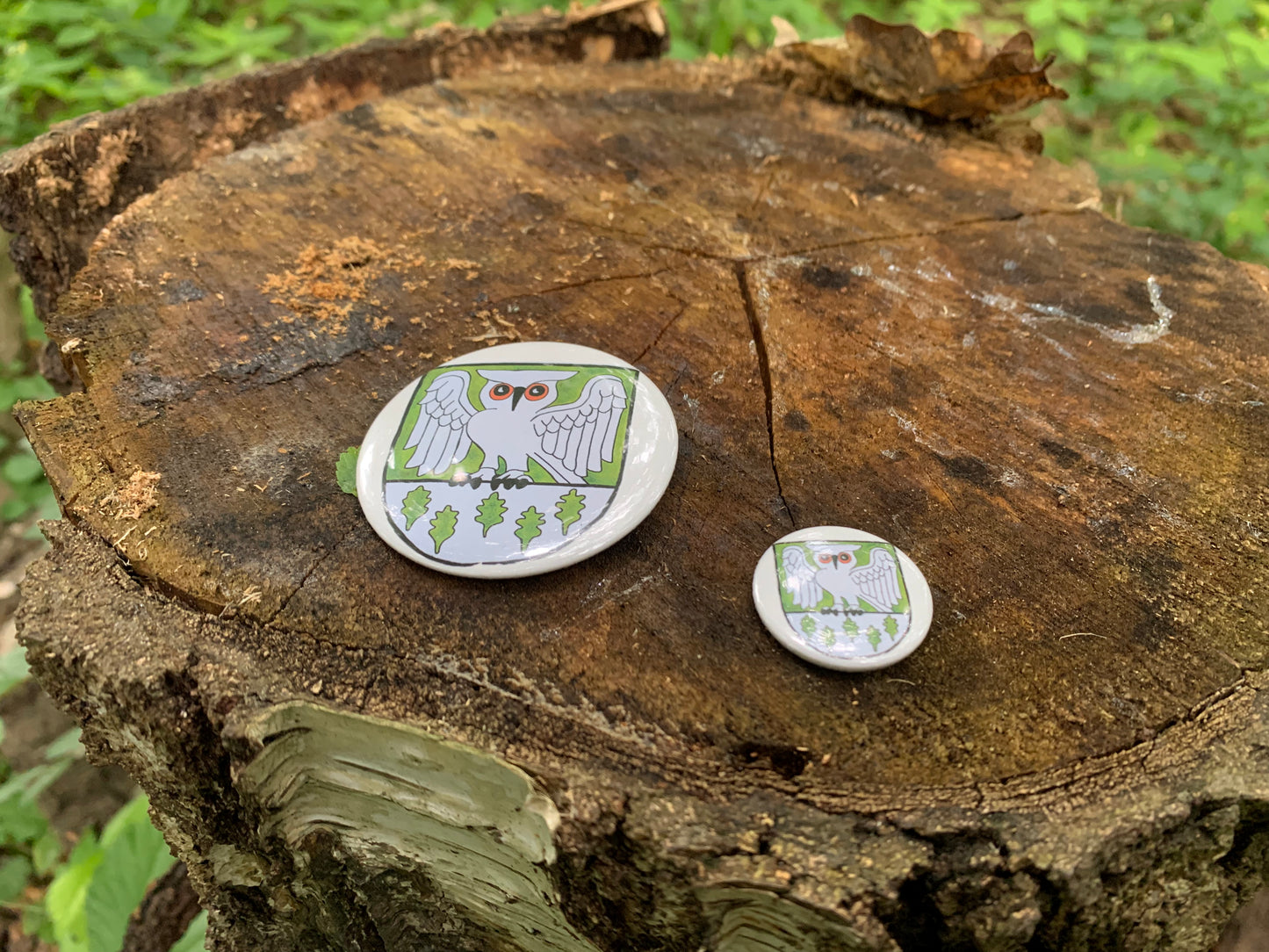 Waldhüter Button - Button in 25 mm u. 50 mm - Für die Jacke, für den Rucksack - Level 1 beim WaldQuest
