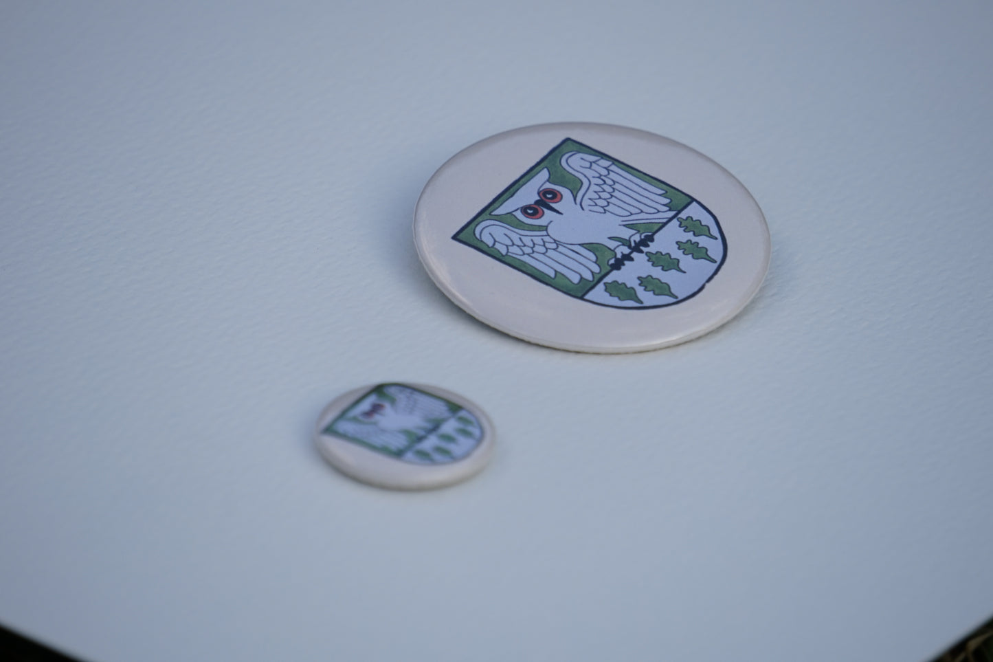 Waldhüter Button - Button in 25 mm u. 50 mm - Für die Jacke, für den Rucksack - Level 1 beim WaldQuest