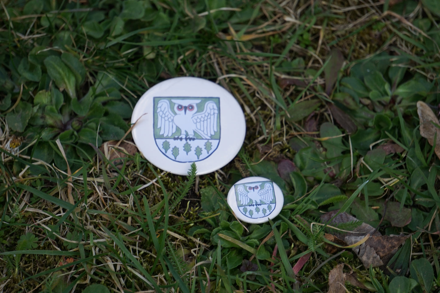 Waldhüter Button - Button in 25 mm u. 50 mm - Für die Jacke, für den Rucksack - Level 1 beim WaldQuest