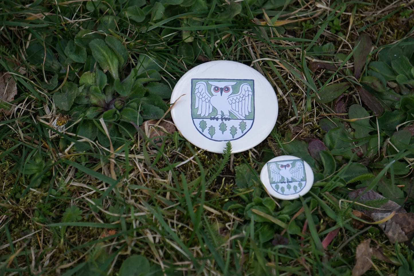 Waldhüter Button - Button in 25 mm u. 50 mm - Für die Jacke, für den Rucksack - Level 1 beim WaldQuest