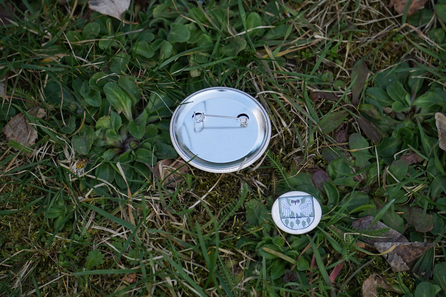 Waldhüter Button - Button in 25 mm u. 50 mm - Für die Jacke, für den Rucksack - Level 1 beim WaldQuest