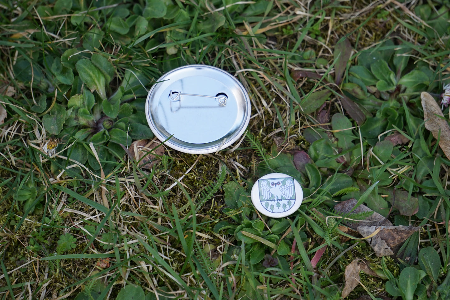 Waldhüter Button - Button in 25 mm u. 50 mm - Für die Jacke, für den Rucksack - Level 1 beim WaldQuest