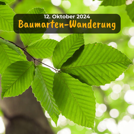 Baumarten-Wanderung mit Jowi am 12. Oktober 2024